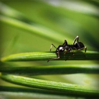 /album/kireipual/photolia-a05-jpg/