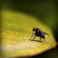 /album/kireipual/photolia-a07-jpg/